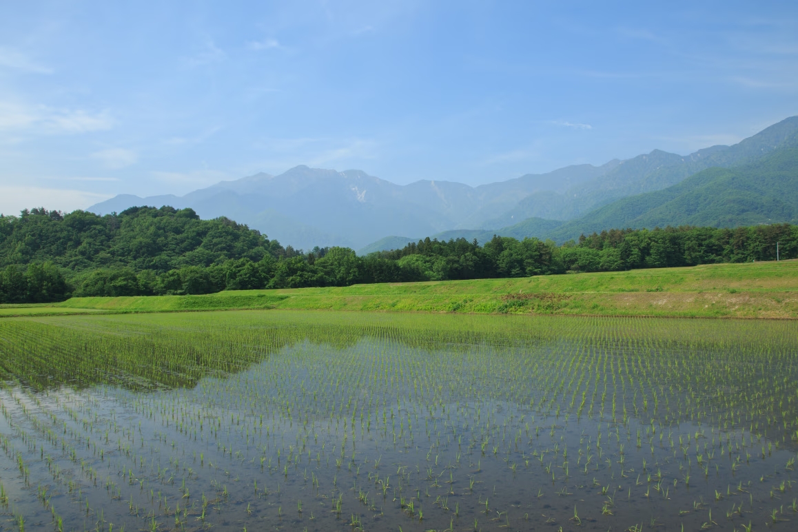 馨 KAORI - コンセプト4